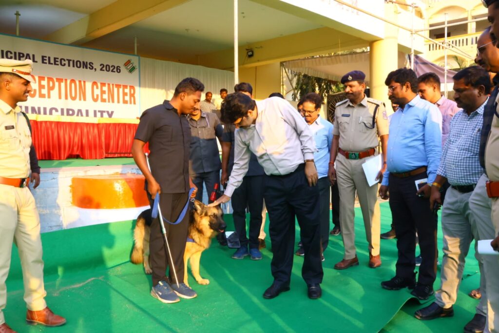 Municipal Election Results 2026 2