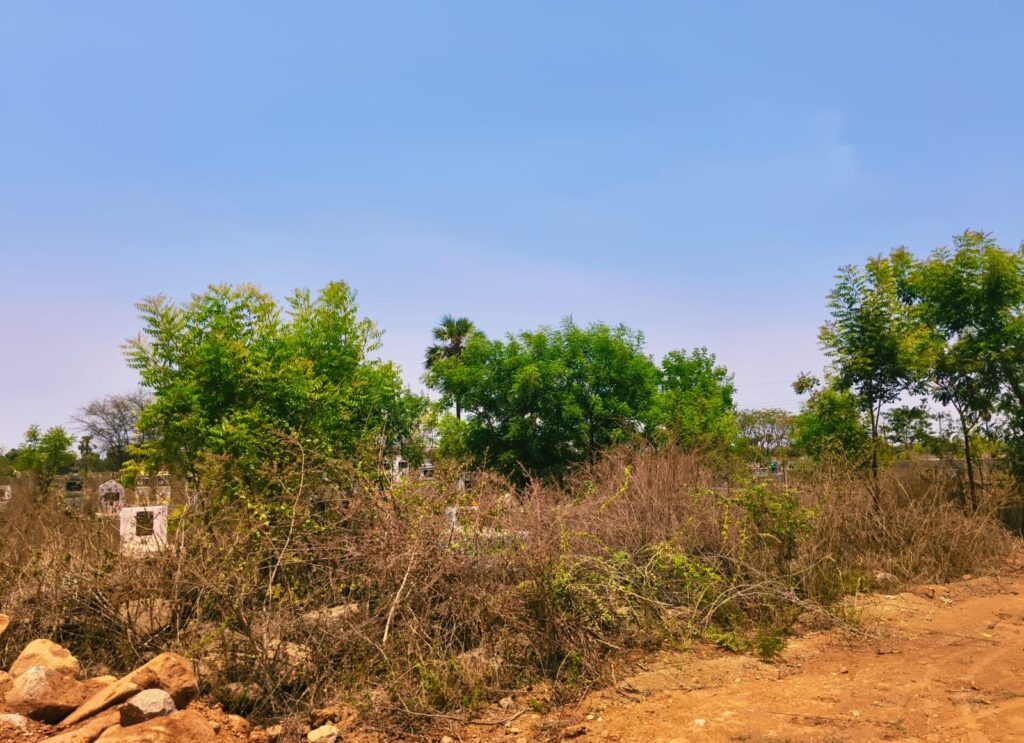 శ్మశాన వాటిక బాట