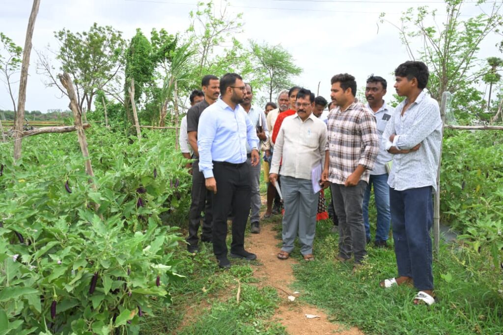 Suryapet District Kasarabad Village Farmers Oilfed Report